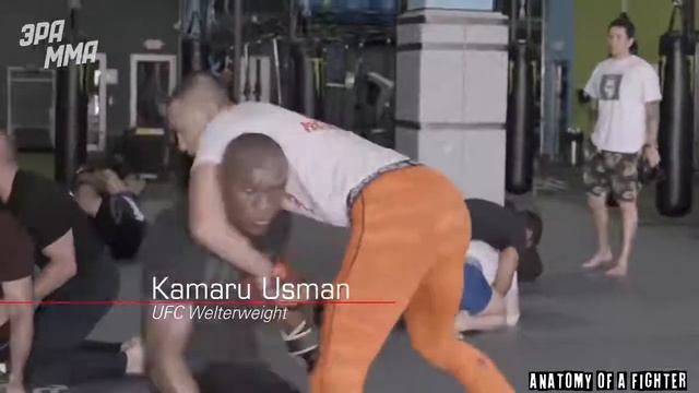 Где Тренируются Лучшие Бойцы ММА? | Топ 5 Залов смотреть онлайн