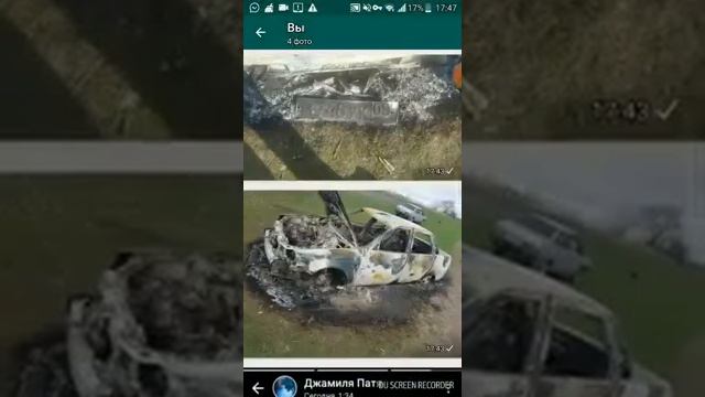Аварцы не люди а Свиньи смотреть онлайн