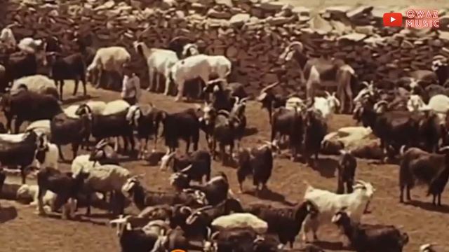 NURY MEREDOW - GURBANLYK ( Gurban Bayramy )    |   старый ашхабад  Kone Aydym