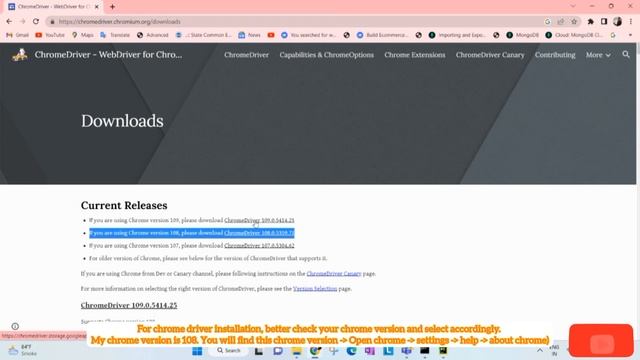 How to setup & install selenium with python( 3.11) and pycharm on windows 11 | chromium driver смотреть онлайн