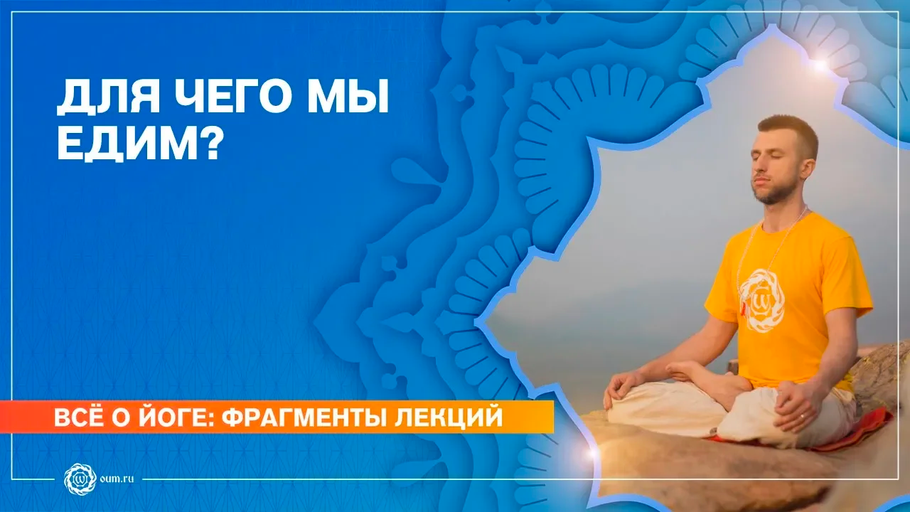 ПИЩЕВАРЕНИЕ. Зачем мы едим Станислав Беловидов