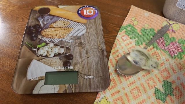 Комбикорм #Пурина. Выбор комбикормов. Что лучше для цыплят!!! смотреть онлайн