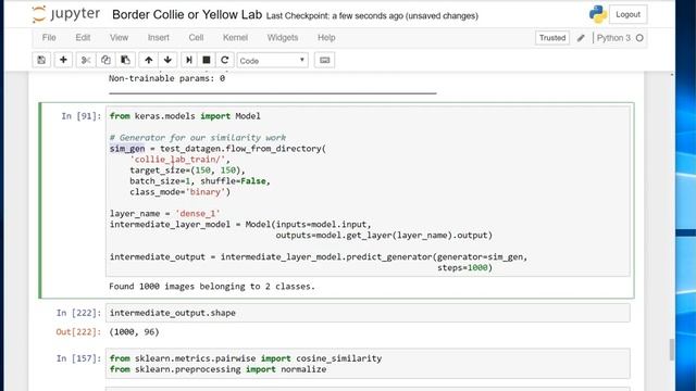Keras Image Classification (Border Collie vs Yellow Lab : Image Similarity) смотреть онлайн