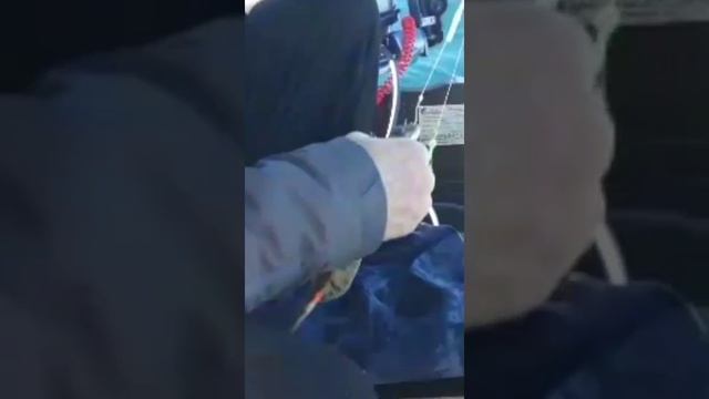 Находка. Рыбалка в Японском море . смотреть онлайн