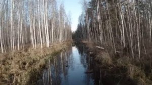 Вездеходы "Аврора"-2