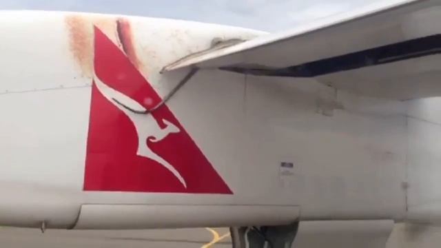 Snake on a plane: Python rides wing of Qantas flight - Truthloader смотреть онлайн