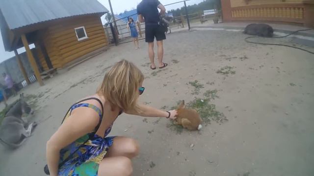 Страусиное ранчо в г. Барнауле смотреть онлайн