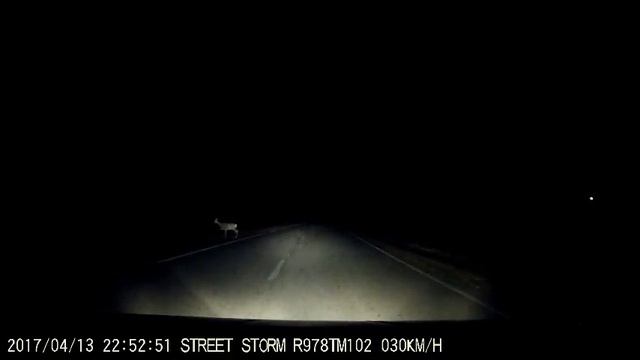 Башкирия,косуля! смотреть онлайн