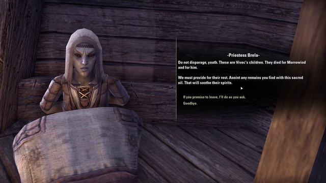 Elder Scrolls: Online смотреть онлайн