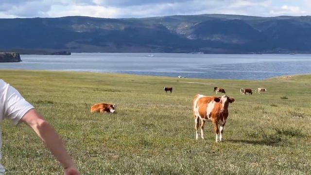 146; Дорога Листвянка-Ольхон! Где мы живем в Хужире? Мыс Бурхан и скала Шаманка!/VLOG смотреть онлайн