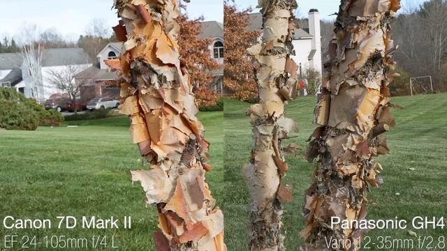 Canon 7D Mark II vs Panasonic GH4 - Video Detail Comparison смотреть онлайн