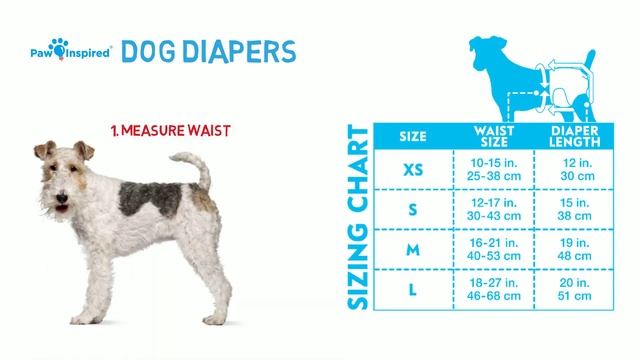 How to Fit your Dog for Washable Dog Diapers & Male Wraps ? смотреть онлайн