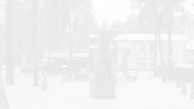 Велнес-клуб Veranda в Смоленске смотреть онлайн