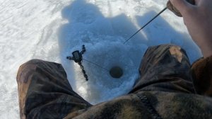 Рыбалка на Рыбинском водохранилище весной со льда. Часть 2: поиск и ловля окуня на маропедку.