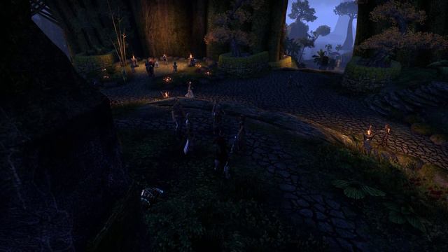 Raynorien- My Favorite Random NPC in ESO смотреть онлайн