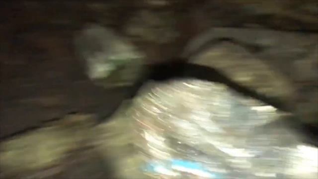 Подземелье в центре города /Нашел артефакт/Древние надгробия смотреть онлайн