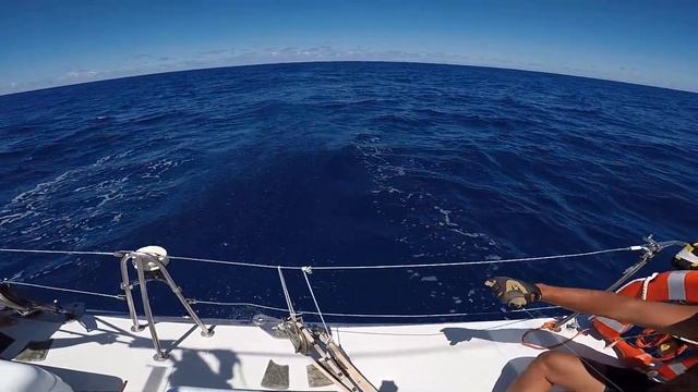 Рыбалка с Яхты,ловля тунца смотреть онлайн