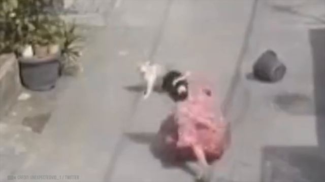 МГНОВЕННАЯ КАРМА, Снятая На Камеру! смотреть онлайн