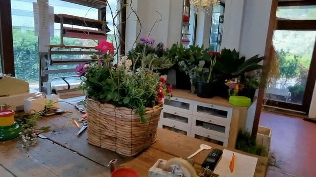 РАБОТАЮЩИЕ ПЕНСИОНЕРЫ В ГЕРМАНИИ! МОЯ РАБОТА | #537 смотреть онлайн