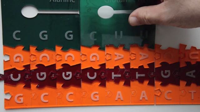 Molecular Biology Game HD смотреть онлайн