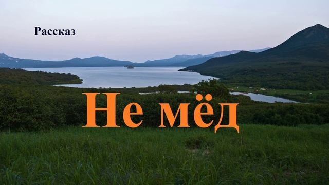 Не мёд.. (рассказ)