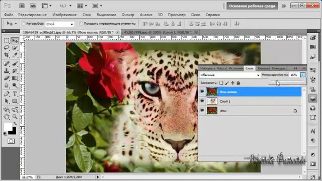 Лассо в программе Photoshop смотреть онлайн