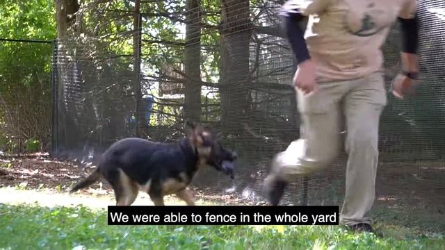 MAX Strength Pet Playgrounds Dog Fence Testimonial смотреть онлайн