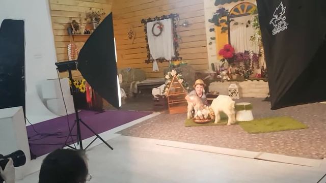 Пасхальные фотосессии с животными в Artpro_studio . смотреть онлайн