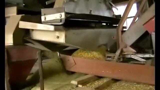 ООО Гранула, г. Асбест: предварительная очистка зерна зернового вороха на сортировке С 2 1500П смотреть онлайн