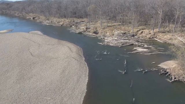 Таймень реки Уссури октябрь 2019