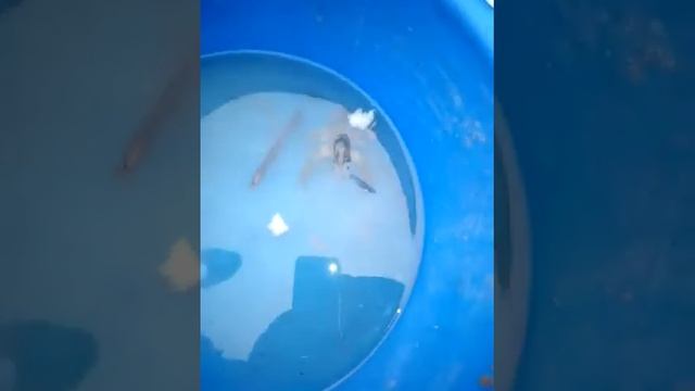 Жизнь рака в тазике смотреть онлайн