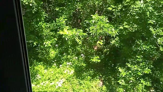 лесок смотреть онлайн