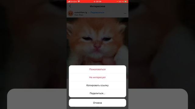Как скачать любое видео с Instagram на İPhone? Решение тут (2021) смотреть онлайн