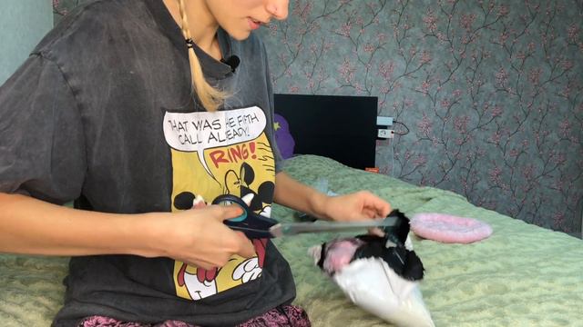 Посылки с Aliexpress для меня и крыс 🐀 смотреть онлайн