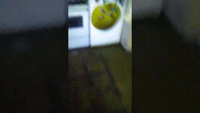 Соседи затопили смотреть онлайн