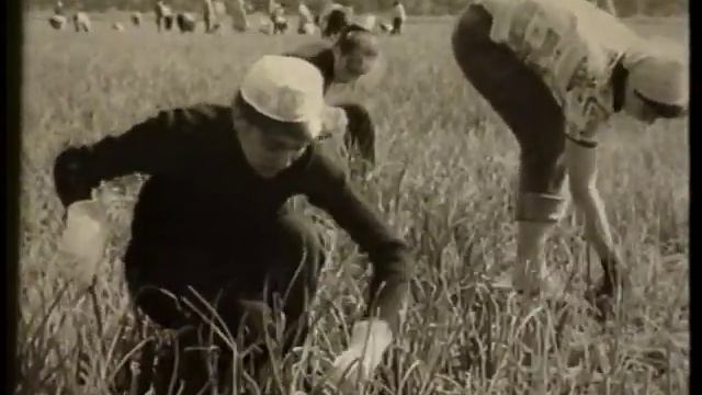 Лагерь "Энтузиаст" (хроника 1980-х) смотреть онлайн