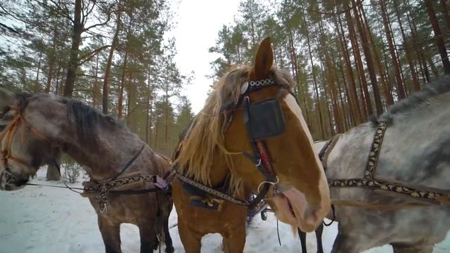 Ремёсла Псковской области. Зима. смотреть онлайн