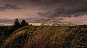 Развитие речи тема : "Природные явления"  для детей 4-5 лет. Воспитатель Лазарева Е.Б.