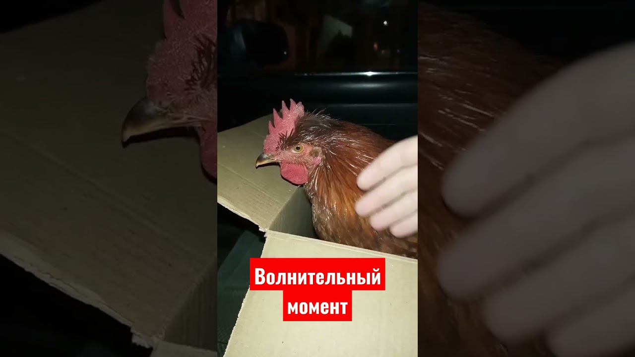 Прощание смотреть онлайн