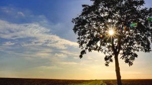 РОДИНА  (минусовка+фон для песни С.Трофимова "Родина")