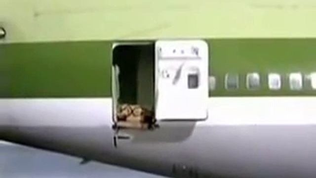 Вот так надо прилетать на море смотреть онлайн