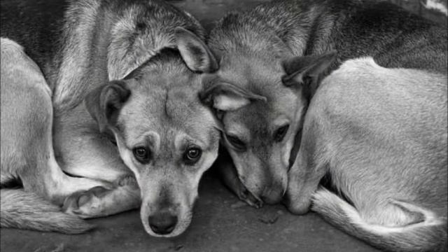 Давайте будем людьми! смотреть онлайн