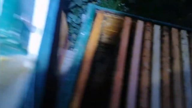 Бражник Мертва Голова смотреть онлайн