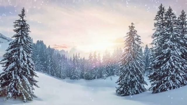 Глава II. На пути в Capов / Всемирный светильник преподобный Серафим Саровский смотреть онлайн