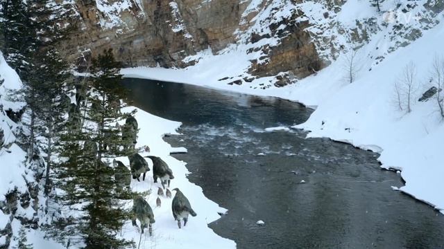 PREHISTORIC PLANET Official Trailer (2022)