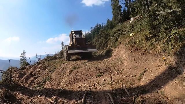 LKT 81 смотреть онлайн