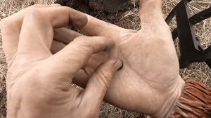 Коп по Золотой Орде. Наслоение эпох.