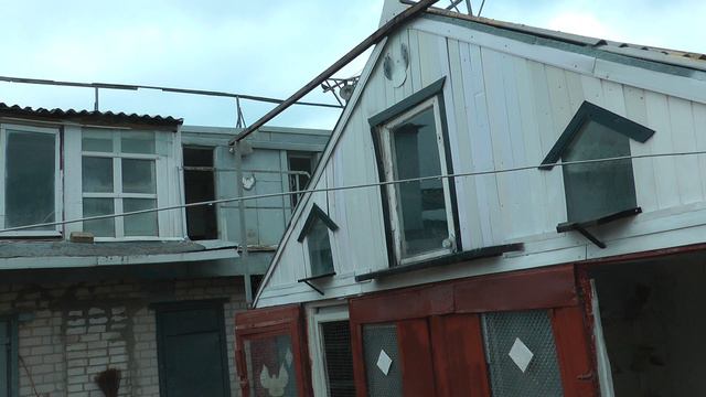 Николаевские голуби смотреть онлайн