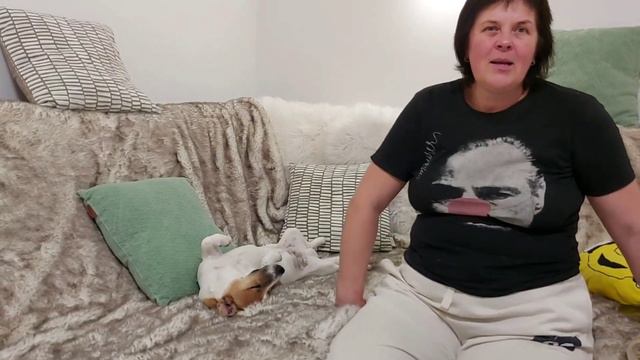 Томаса укусило что-то на огороде собираемся в больницу смотреть онлайн