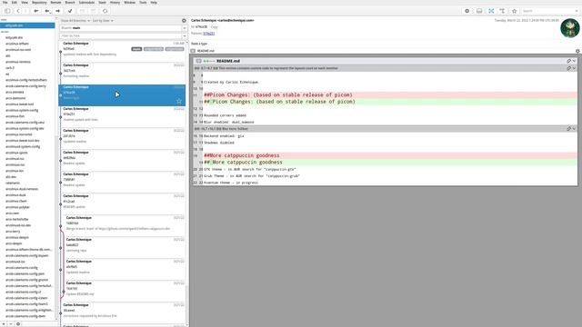 ArcoLinux : 2776 Leftwm - git pull in the folder theme to get new code in смотреть онлайн